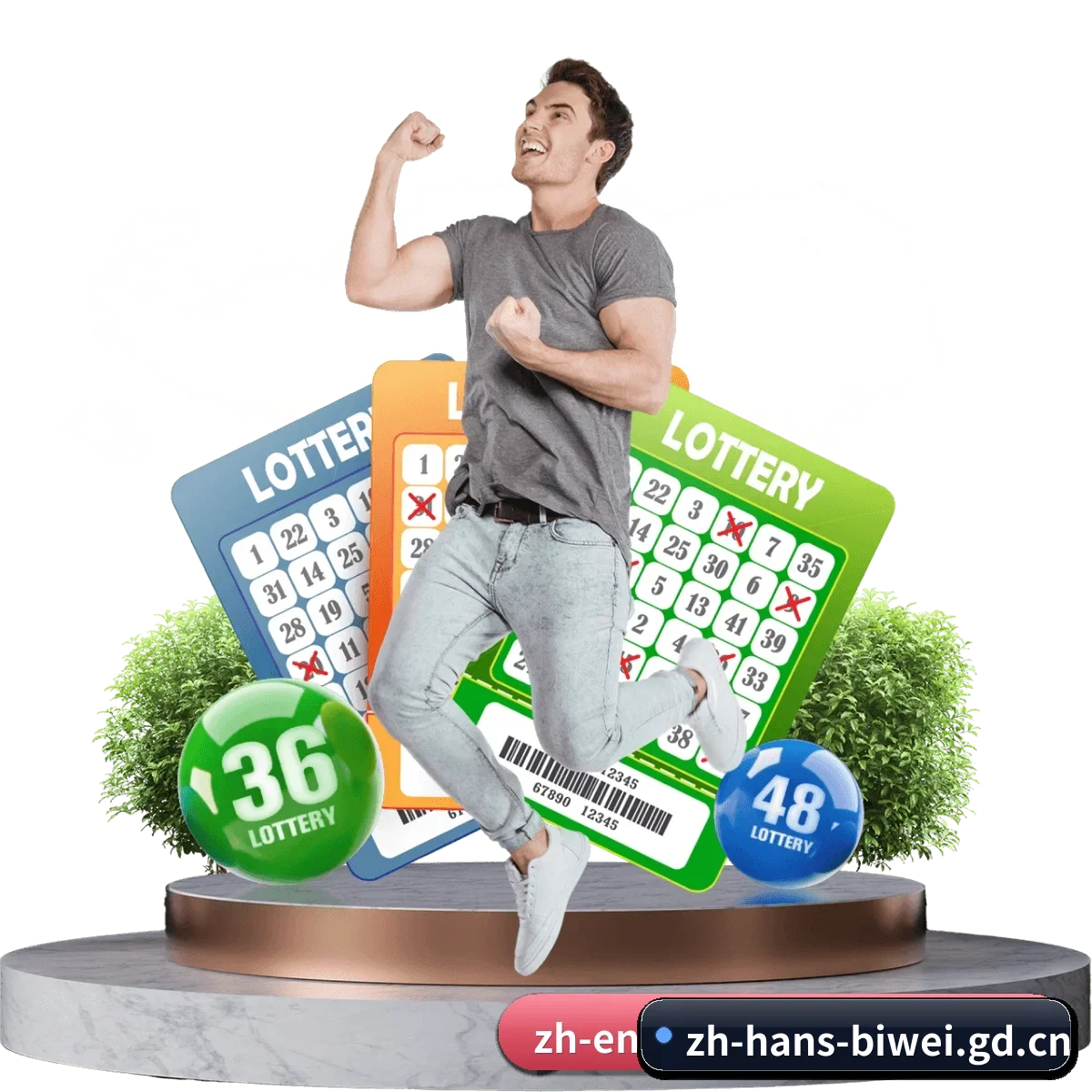 全球化版图确立